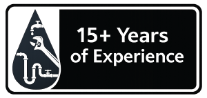 15+ Years of Experience